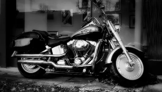 Harley Cruiser